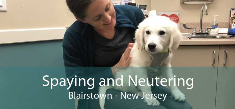 Spaying and Neutering Blairstown - New Jersey