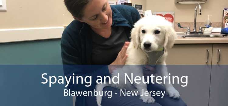 Spaying and Neutering Blawenburg - New Jersey