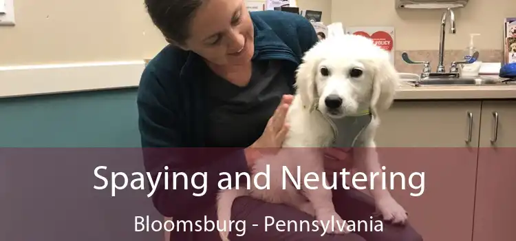 Spaying and Neutering Bloomsburg - Pennsylvania