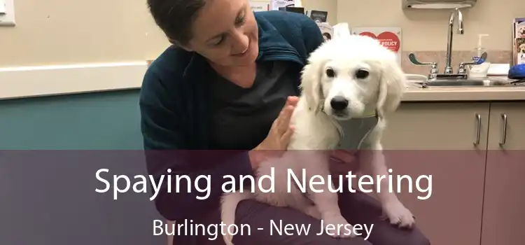 Spaying and Neutering Burlington - New Jersey