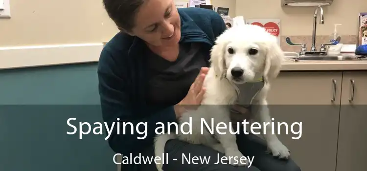 Spaying and Neutering Caldwell - New Jersey