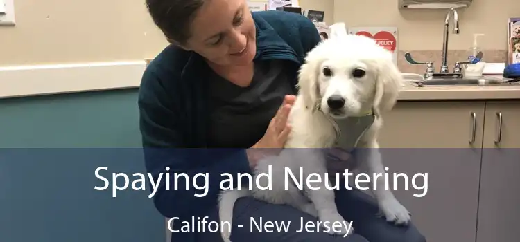 Spaying and Neutering Califon - New Jersey
