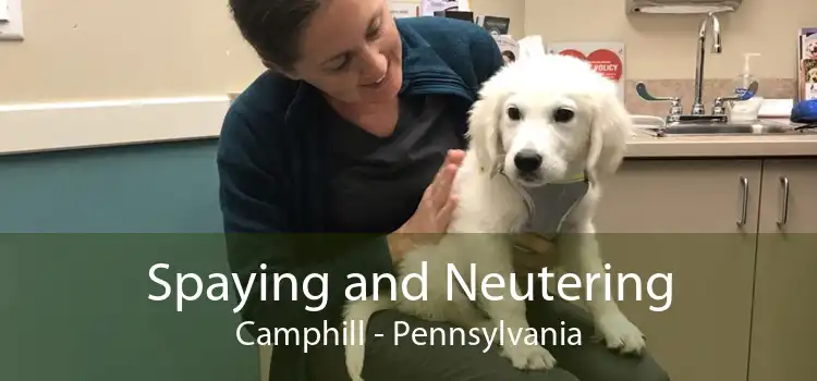Spaying and Neutering Camphill - Pennsylvania