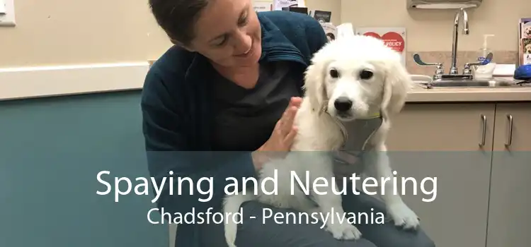 Spaying and Neutering Chadsford - Pennsylvania