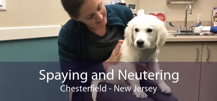Spaying and Neutering Chesterfield - New Jersey