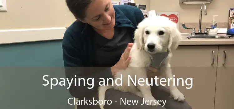 Spaying and Neutering Clarksboro - New Jersey