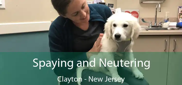 Spaying and Neutering Clayton - New Jersey