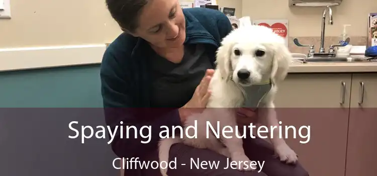 Spaying and Neutering Cliffwood - New Jersey