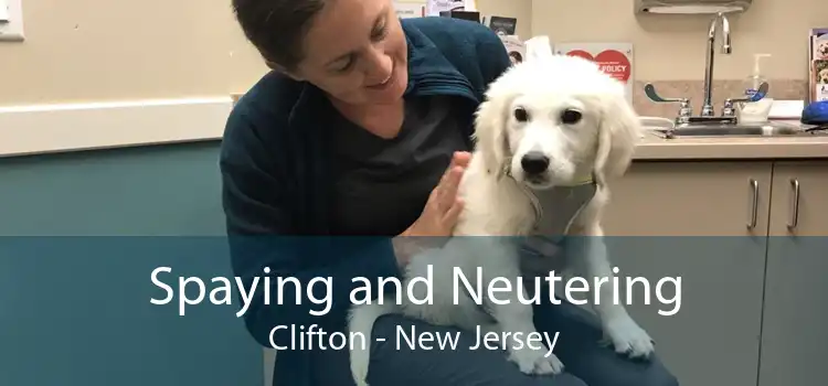 Spaying and Neutering Clifton - New Jersey