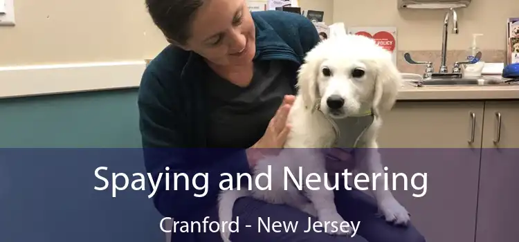 Spaying and Neutering Cranford - New Jersey