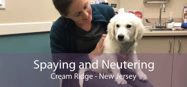 Spaying and Neutering Cream Ridge - New Jersey