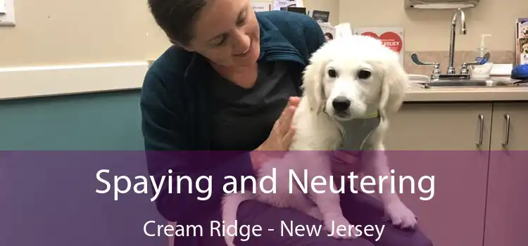 Spaying and Neutering Cream Ridge - New Jersey