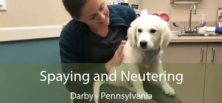 Spaying and Neutering Darby - Pennsylvania