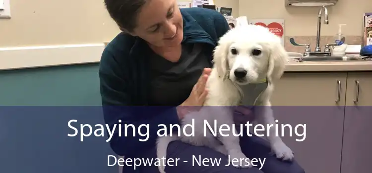 Spaying and Neutering Deepwater - New Jersey