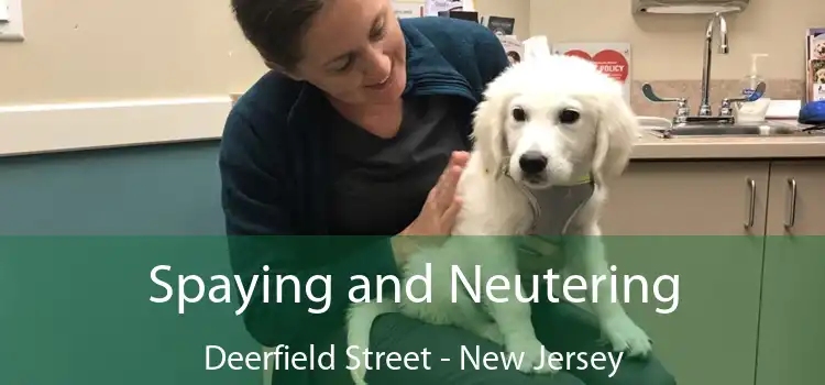 Spaying and Neutering Deerfield Street - New Jersey