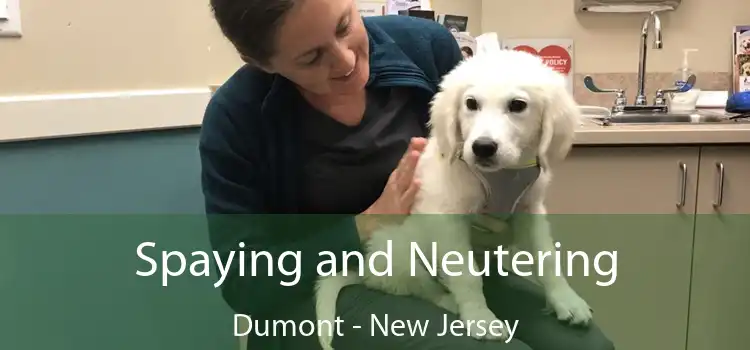 Spaying and Neutering Dumont - New Jersey