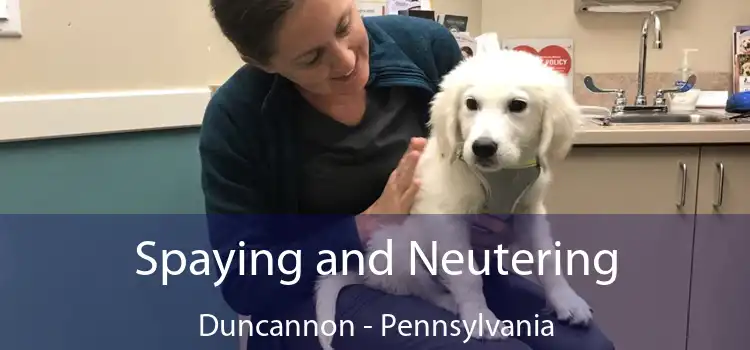Spaying and Neutering Duncannon - Pennsylvania