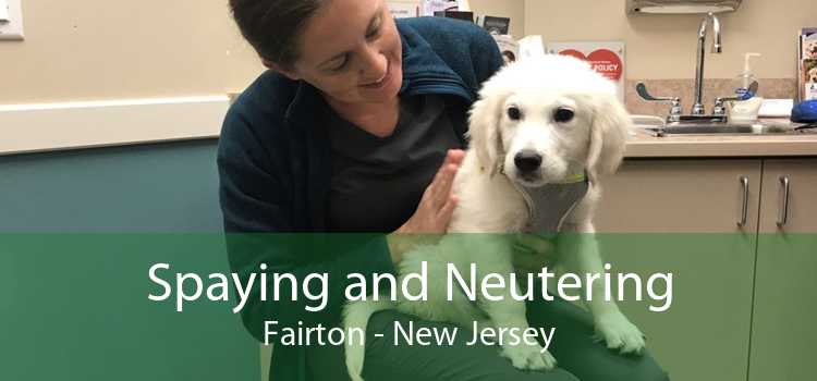 Spaying and Neutering Fairton - New Jersey