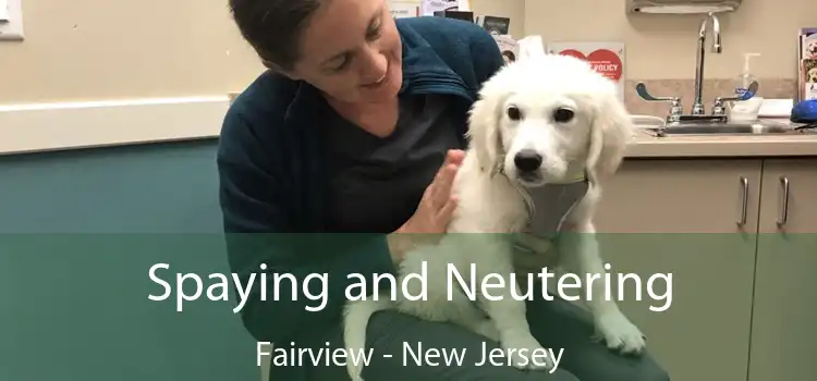 Spaying and Neutering Fairview - New Jersey