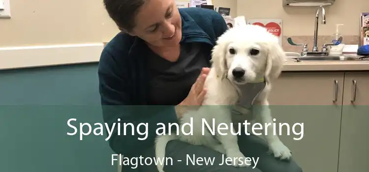 Spaying and Neutering Flagtown - New Jersey