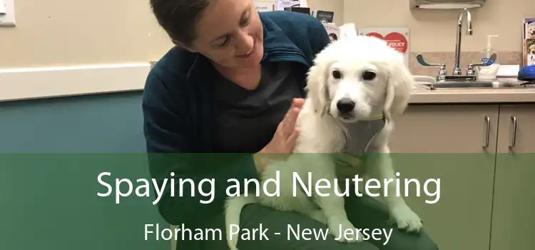 Spaying and Neutering Florham Park - New Jersey