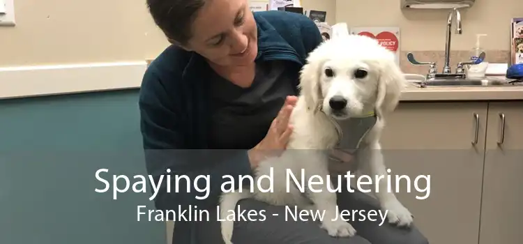 Spaying and Neutering Franklin Lakes - New Jersey