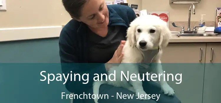 Spaying and Neutering Frenchtown - New Jersey