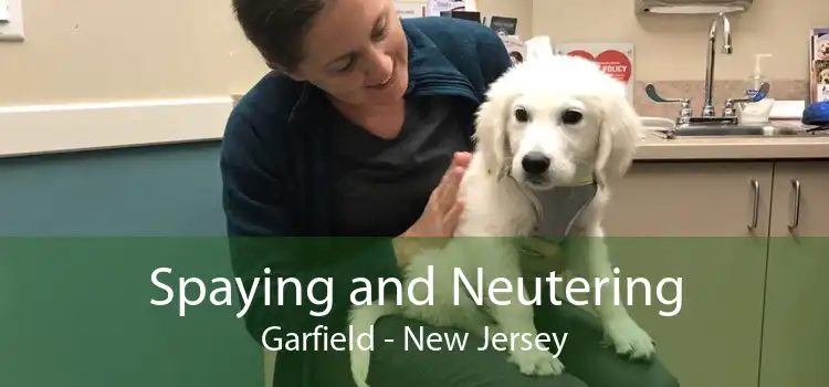 Spaying and Neutering Garfield - New Jersey