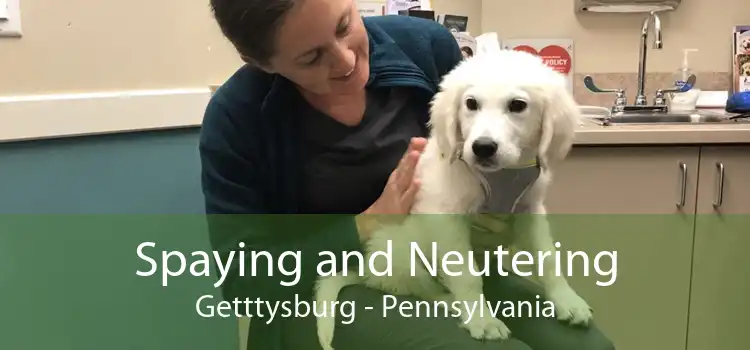 Spaying and Neutering Getttysburg - Pennsylvania