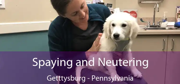 Spaying and Neutering Getttysburg - Pennsylvania