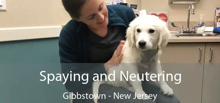 Spaying and Neutering Gibbstown - New Jersey