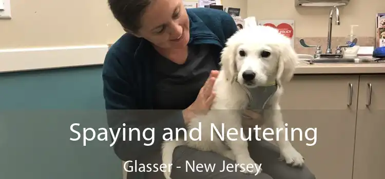 Spaying and Neutering Glasser - New Jersey