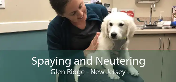Spaying and Neutering Glen Ridge - New Jersey