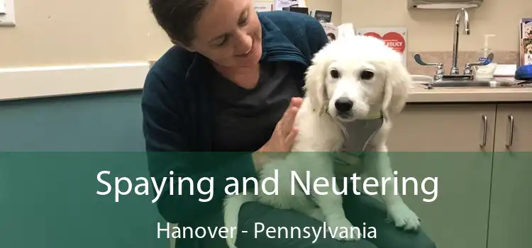 Spaying and Neutering Hanover - Pennsylvania