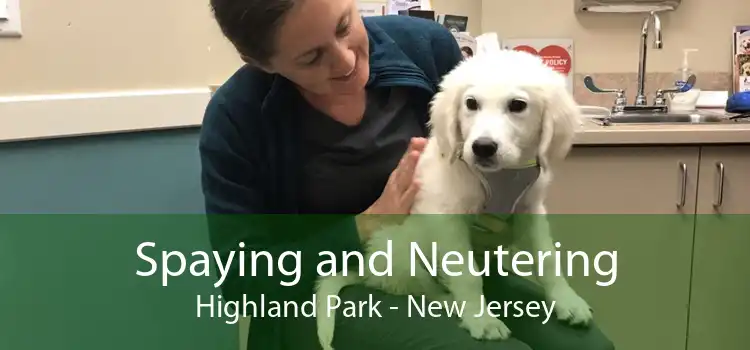 Spaying and Neutering Highland Park - New Jersey