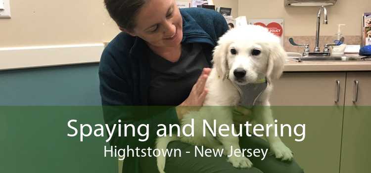 Spaying and Neutering Hightstown - New Jersey