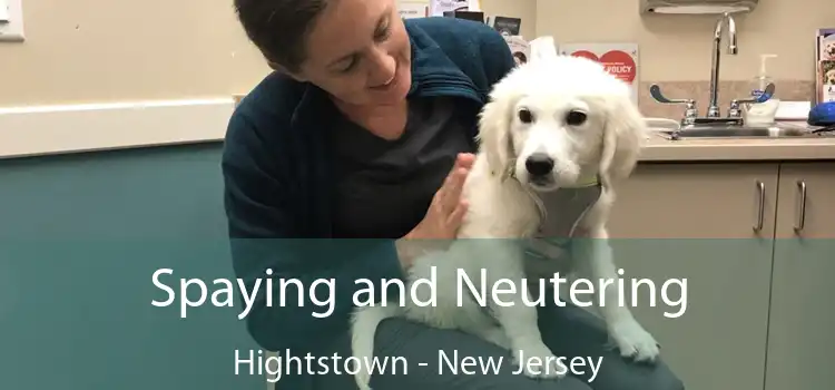 Spaying and Neutering Hightstown - New Jersey