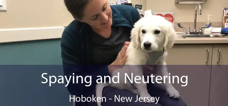 Spaying and Neutering Hoboken - New Jersey