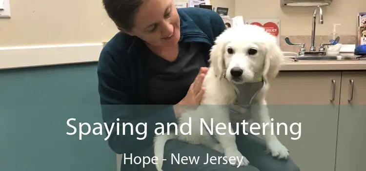 Spaying and Neutering Hope - New Jersey
