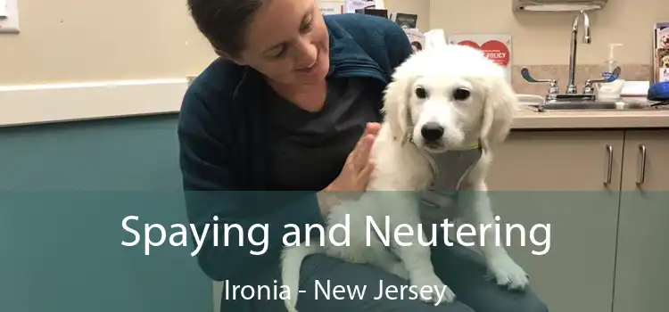 Spaying and Neutering Ironia - New Jersey