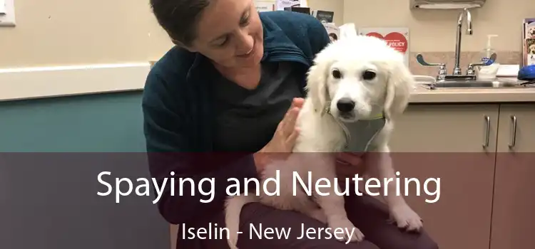 Spaying and Neutering Iselin - New Jersey