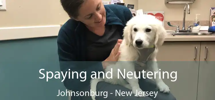 Spaying and Neutering Johnsonburg - New Jersey
