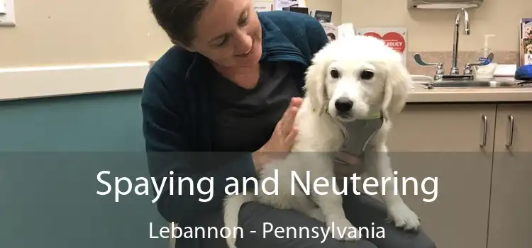 Spaying and Neutering Lebannon - Pennsylvania