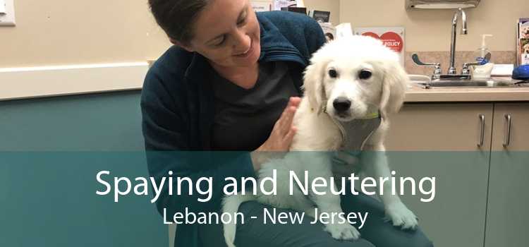 Spaying and Neutering Lebanon - New Jersey