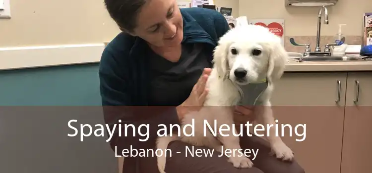 Spaying and Neutering Lebanon - New Jersey