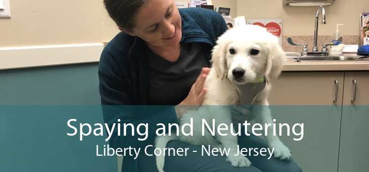 Spaying and Neutering Liberty Corner - New Jersey