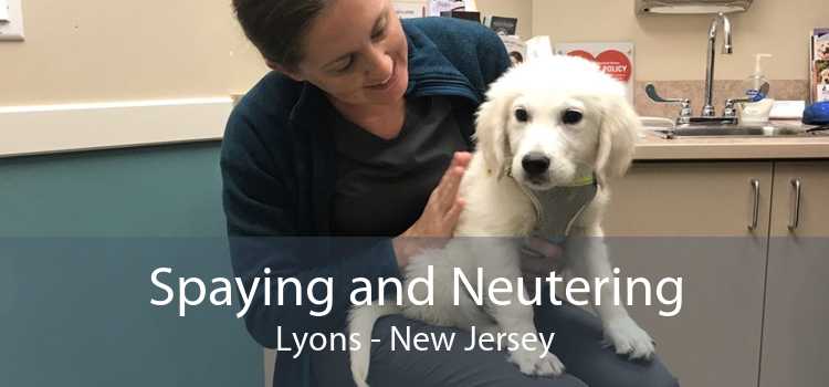 Spaying and Neutering Lyons - New Jersey