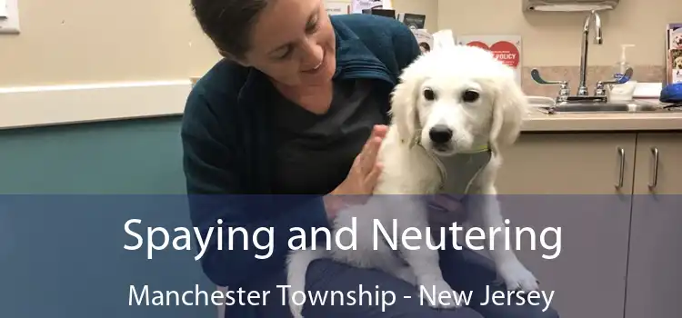 Spaying and Neutering Manchester Township - New Jersey