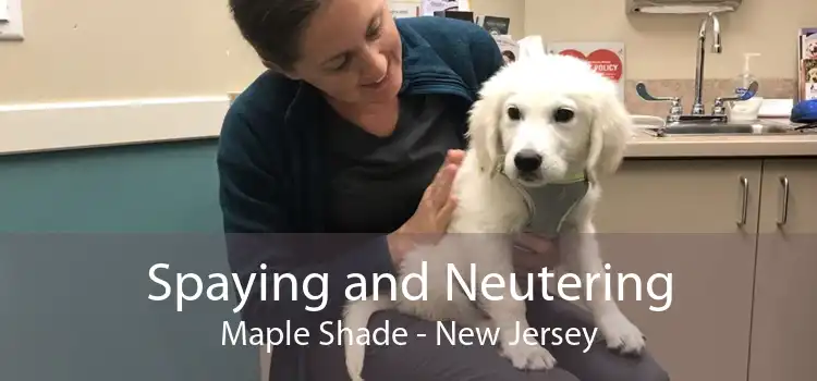 Spaying and Neutering Maple Shade - New Jersey