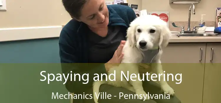 Spaying and Neutering Mechanics Ville - Pennsylvania